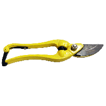 Pruning Shear