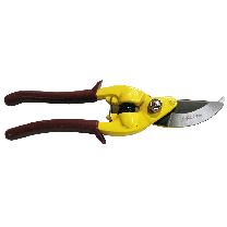 Pruning Shear